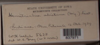 Image Associated With the Occurence
